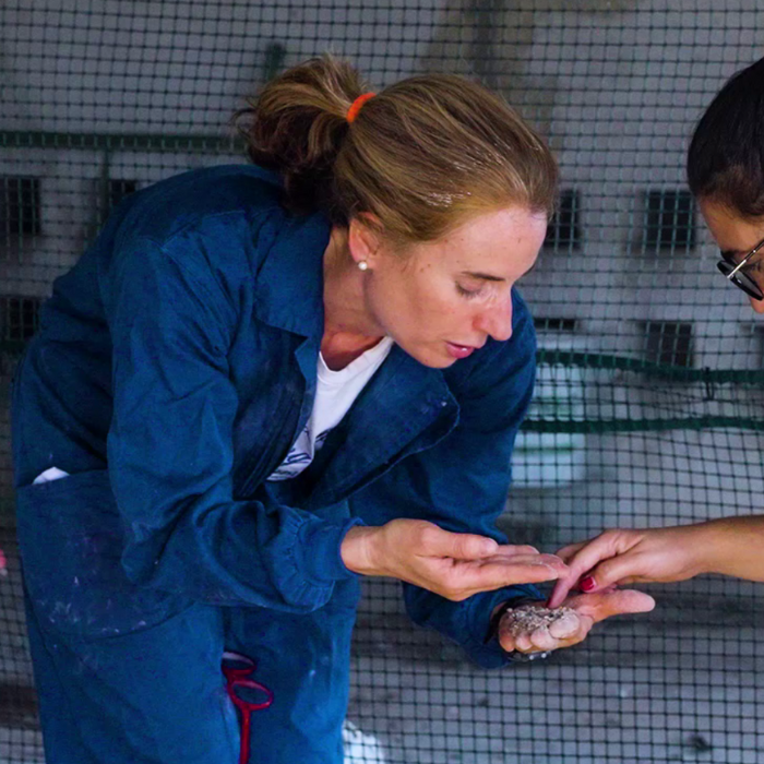 Boton-Programas Empleo-Nuevas Ruralidades-España-AccioncontraHambre