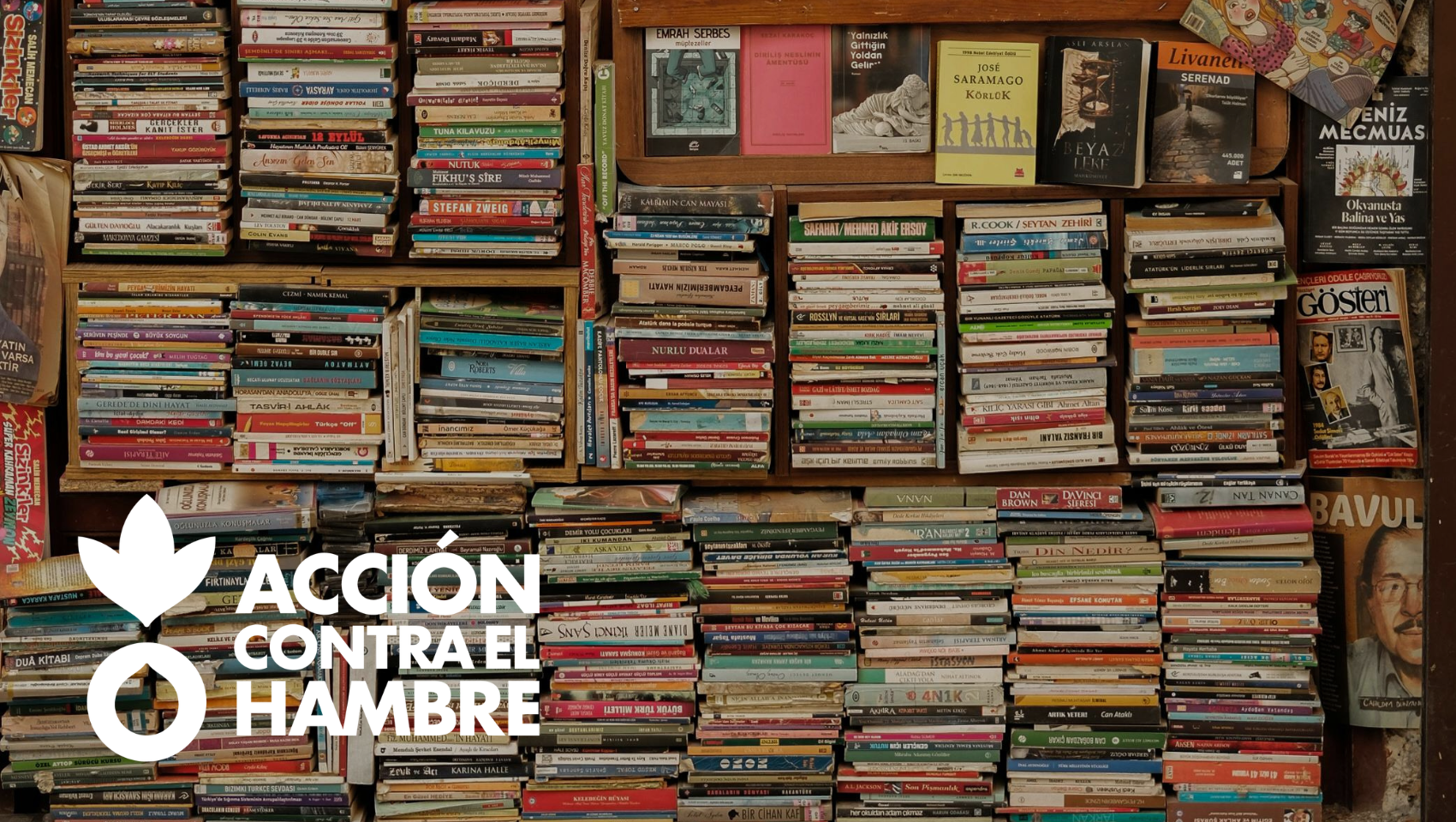 DiaLibro-AccioncontraHambre-Estanteria-Libros-Logo