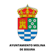 ayuntamiento molina de segura