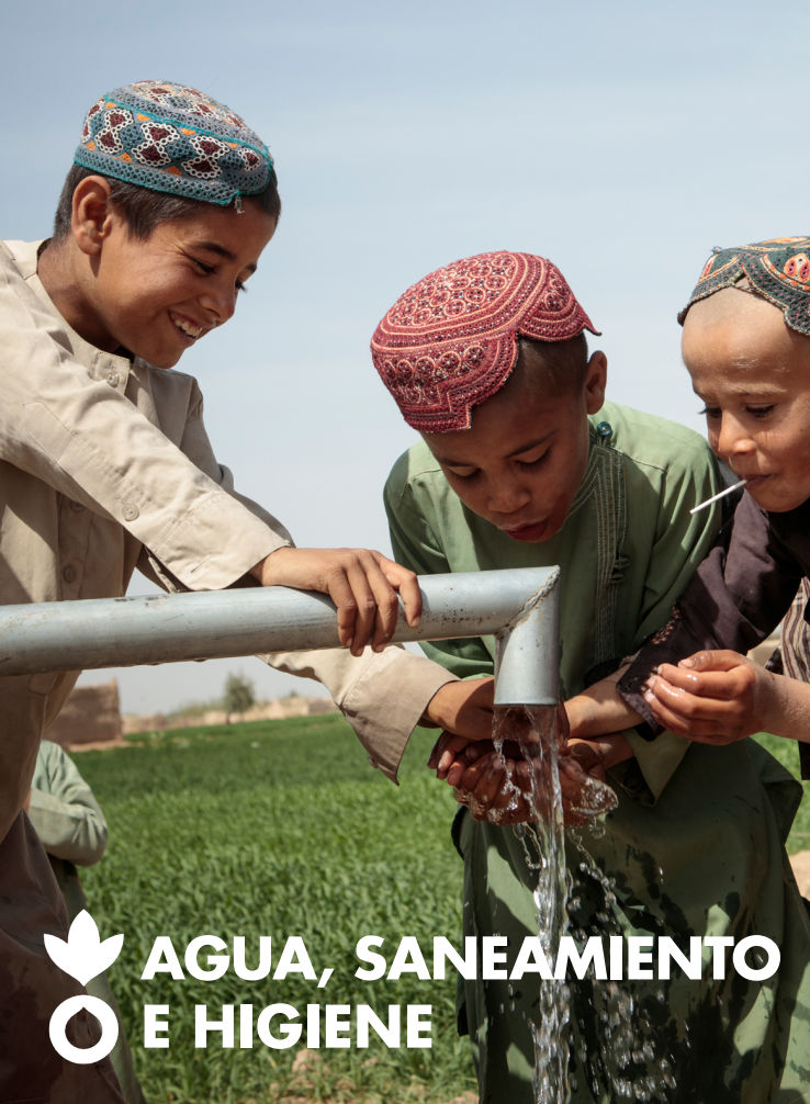 AGUA, SANEAMIENTO E HIGIENE