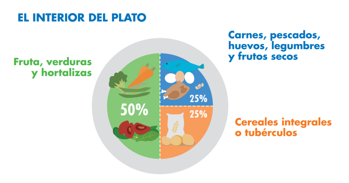 Plato Hardvard-ComidaEquilibrada-Dieta Mediterranea-Alimentacion-CampusVirtual-Salud