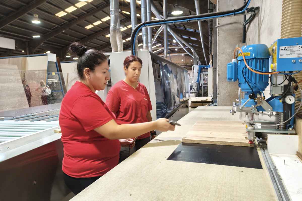 Fase4-ProgramasEmpleo-AccioncontraHambre-Valencia-DANA-Sedavi-FormacionGratuita