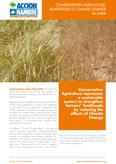 conservation agriculture syria portada web