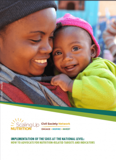 implementation of the sdgs at the national level how to advocate for nutrition related targets and indicators